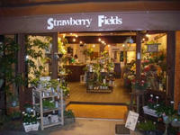 20080416SF.JPG