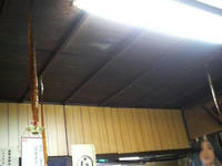 2009042919500000.jpg