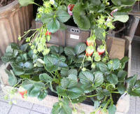 2010012711440000.jpg