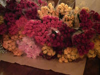 2010021008100002.jpg