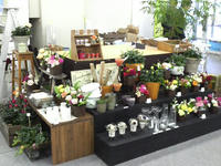 2010021310440000.jpg