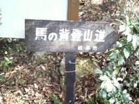 2010022113420000.jpg