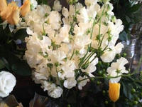 2010022313520000.jpg