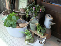 2010030316520000.jpg