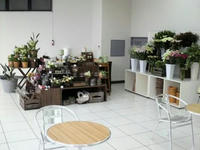 2010031311020001.jpg