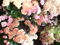 2010050612190000.jpg
