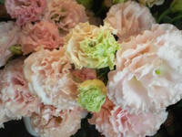 2010071613240000.jpg