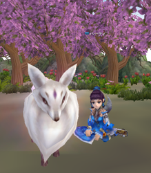 kituneto.png