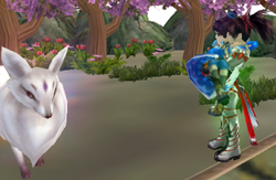 petto.png
