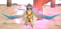 yousei.jpg