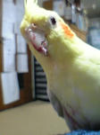 血が付いてますよ!