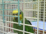 07090803.JPG
