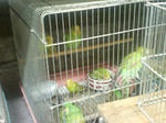 07090804.JPG