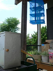 090712BBQsmoke.jpg