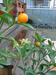 27066ec3.jpeg