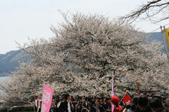 4a337840.jpeg
