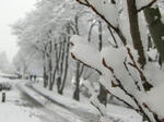 5313566e.JPG