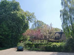 CIMG0600.JPG