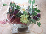 20080722143952s.jpg
