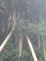 IMG_3241.jpg