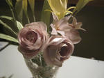IMG_4611.JPG