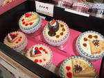20100606-15.JPG