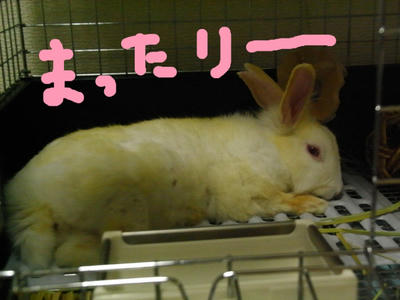 7c958748.jpg