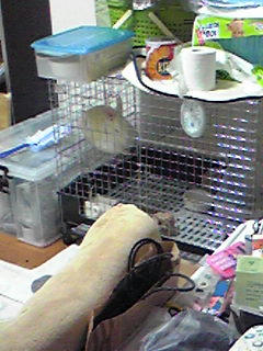 Image499.jpg