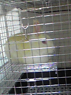 Image500.jpg