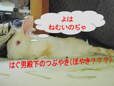 hagu2.jpg