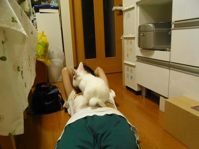 RIMG4089.JPG