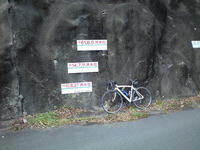 CA3A0173.jpg