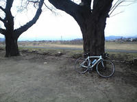 CA3A0268.jpg