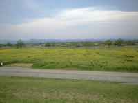 CA3A0383.jpg