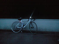 CA3A0436.jpg