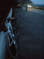 CA3A0437.jpg