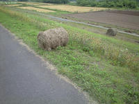 CA3A0442.jpg