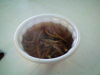 CA3A0686.jpg