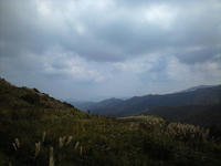 CA3A0748.jpg