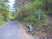 CA3A0765.jpg