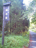 CA3A0774.jpg