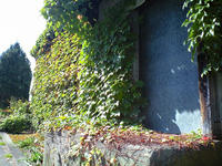 CA3A0779.jpg