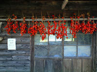 CA3A0780.jpg