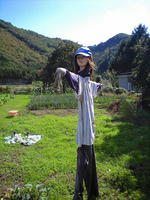 CA3A0781.jpg