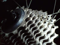CA3A0830.jpg
