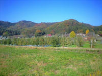 CA3A0840.jpg
