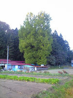 CA3A0844.jpg
