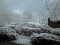 CA3A0889.jpg