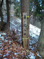 CA3A0943.jpg