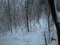 CA3A0984.jpg